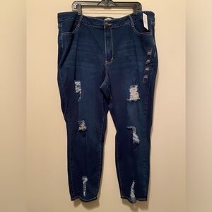 Rue 21 plus size skinny jeans